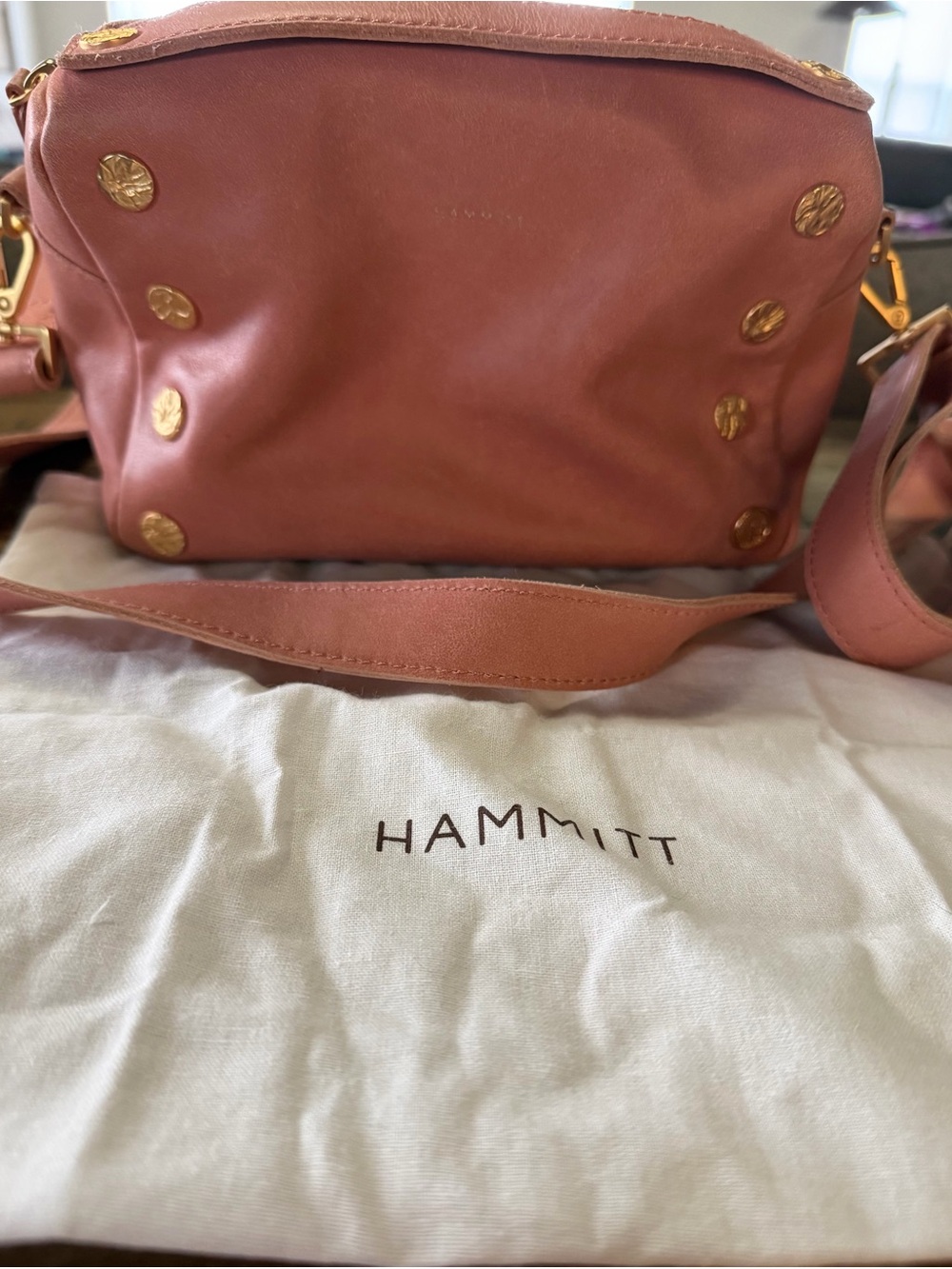 Hammitt Evan crossbody sorbet pink/ brushed gold hammered- SMALL size - Picture 5 of 11
